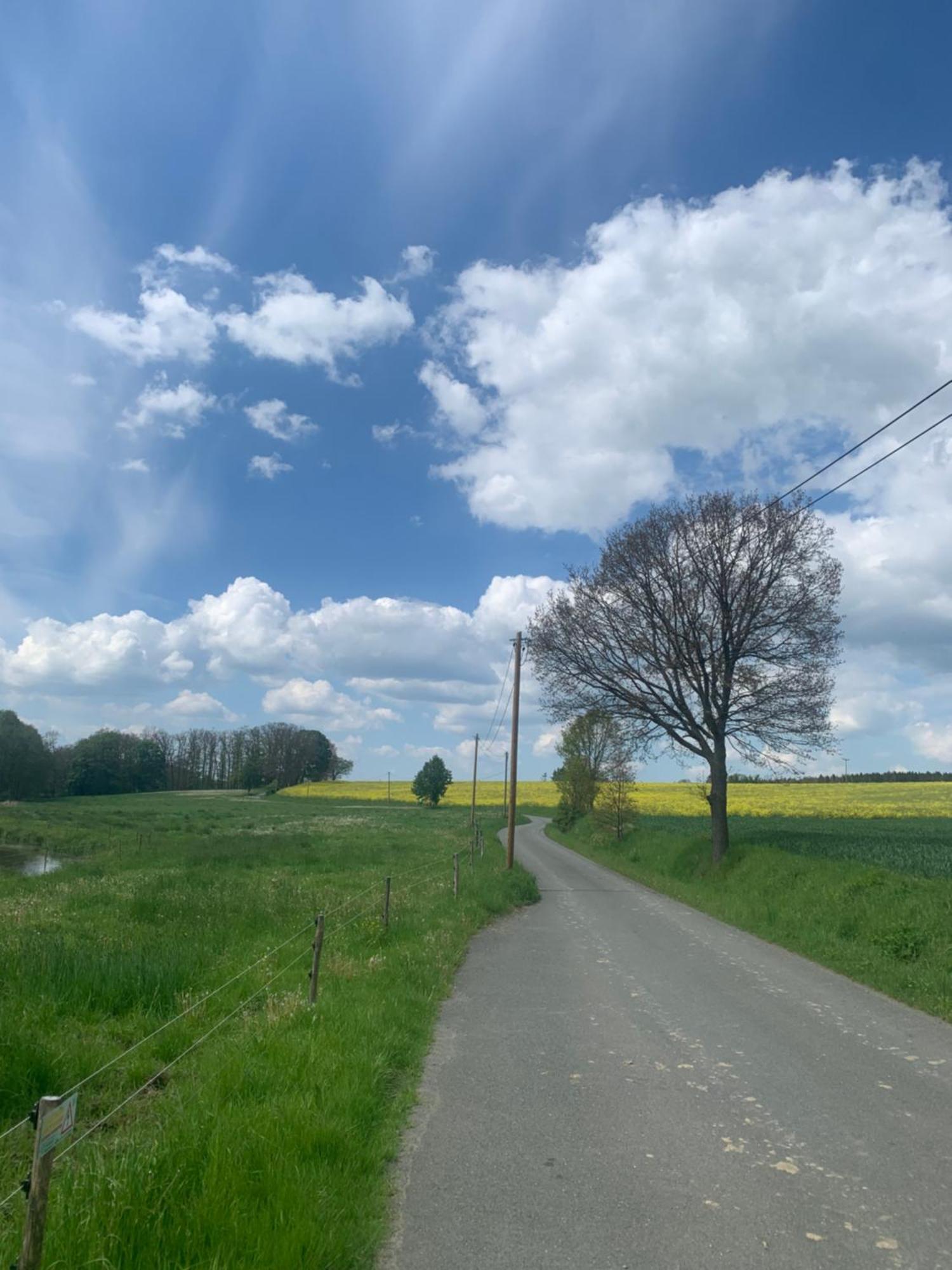 Gemuetliche Ferienwohnung In Idyllischer Lage-Auf Dem Land Dittersdorf Dış mekan fotoğraf